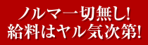 ノルマ一切無し!給料はヤル気次第!