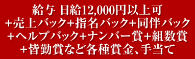給与 日給12000円以上可+売上バック+指名バック+同伴バック+ヘルプバック+シャンパンバック+ナンバー賞+組数賞+皆勤賞など各種賞金、手当て